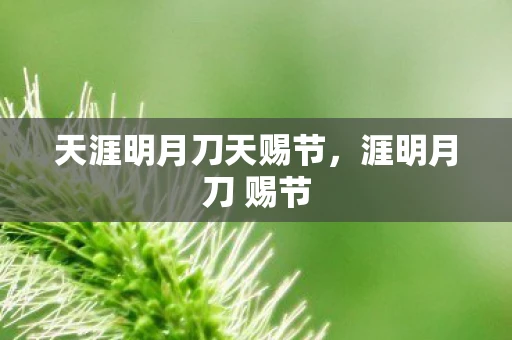 天涯明月刀天赐节，涯明月刀 赐节