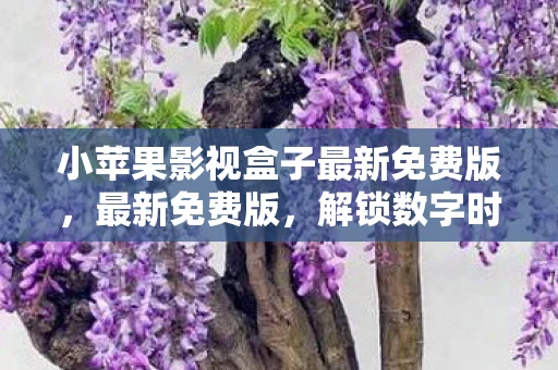 小苹果影视盒子最新免费版，最新免费版，解锁数字时代的无限可能