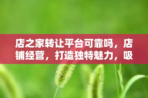 店之家转让平台可靠吗，店铺经营，打造独特魅力，吸引顾客流连忘返