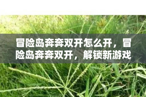 冒险岛奔奔双开怎么开，冒险岛奔奔双开，解锁新游戏体验