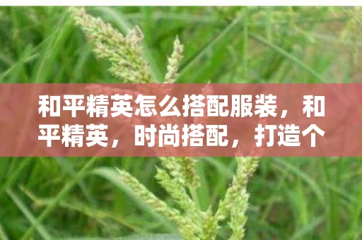 和平精英怎么搭配服装，和平精英，时尚搭配，打造个性造型