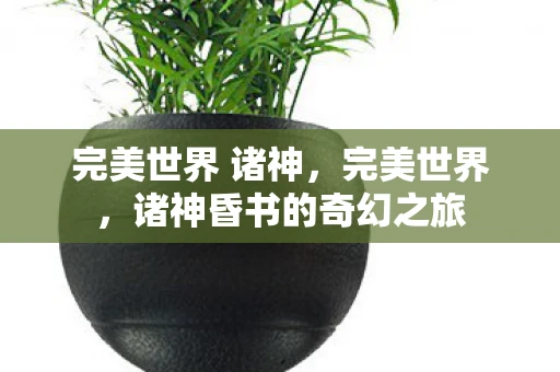 完美世界 诸神，完美世界，诸神昏书的奇幻之旅