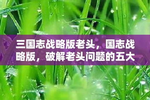 三国志战略版老头，国志战略版，破解老头问题的五大策略
