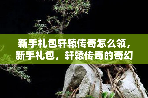 新手礼包轩辕传奇怎么领，新手礼包，轩辕传奇的奇幻之旅