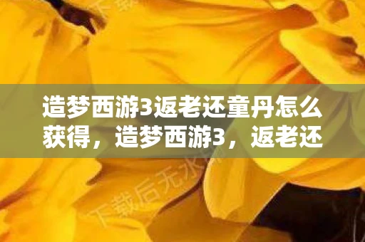 造梦西游3返老还童丹怎么获得，造梦西游3，返老还童丹的神秘传说