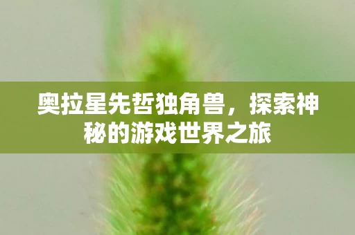 探索神秘的游戏世界之旅图片