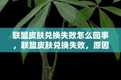 联盟皮肤兑换失败怎么回事，联盟皮肤兑换失败，原因分析与解决策略