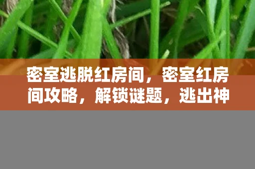 密室逃脱红房间，密室红房间攻略，解锁谜题，逃出神秘空间