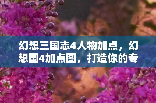 幻想三国志4人物加点，幻想国4加点图，打造你的专属角色，探索无限可能