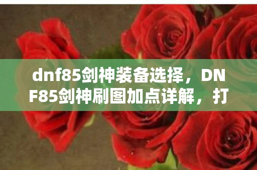 dnf85剑神装备选择，DNF85剑神刷图加点详解，打造高效战斗力的关键
