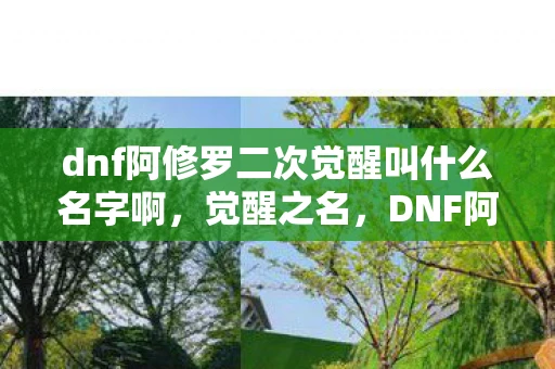 dnf阿修罗二次觉醒叫什么名字啊，觉醒之名，DNF阿修罗二次觉醒的传奇之旅