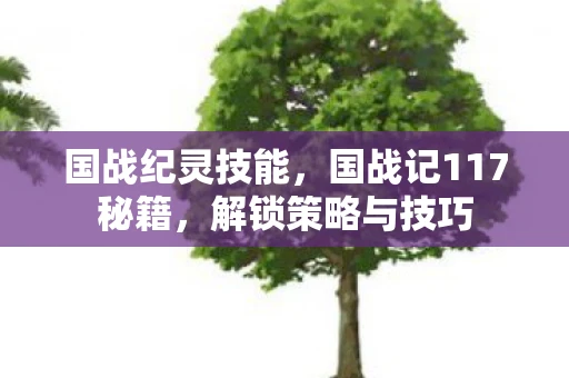 国战纪灵技能，国战记117秘籍，解锁策略与技巧