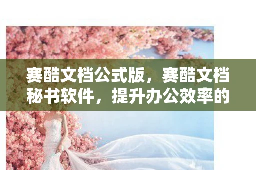 赛酷文档公式版，赛酷文档秘书软件，提升办公效率的智能助手