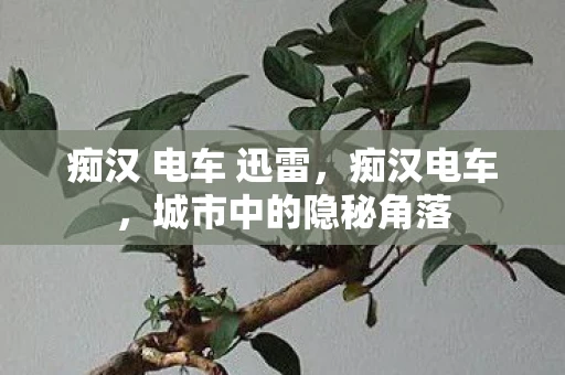 痴汉 电车 迅雷，痴汉电车，城市中的隐秘角落