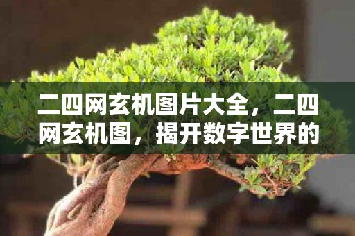二四网玄机图片大全，二四网玄机图，揭开数字世界的神秘面纱