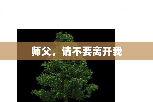 师父，请不要离开我