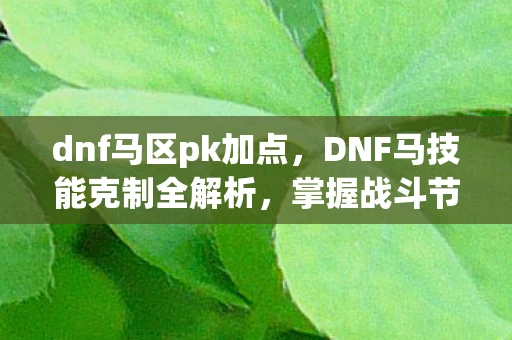 dnf马区pk加点，DNF马技能克制全解析，掌握战斗节奏，提升角色实力