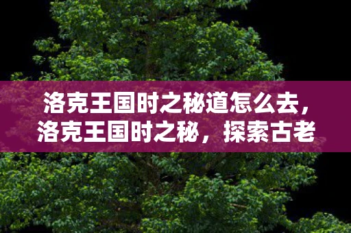 洛克王国时之秘道怎么去，洛克王国时之秘，探索古老王国的时空之旅