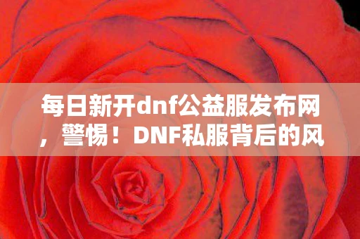 每日新开dnf公益服发布网，警惕！DNF私服背后的风险与危害