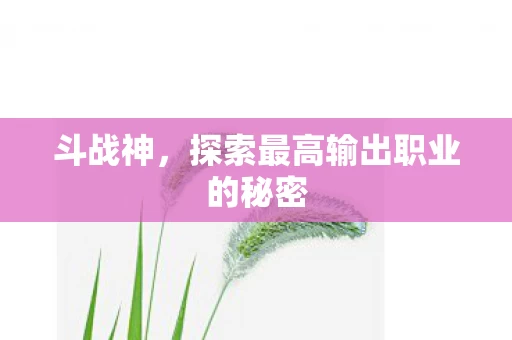 探索最高输出职业的秘密图片