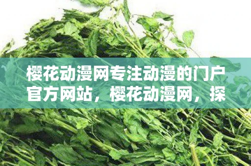 樱花动漫网专注动漫的门户官方网站，樱花动漫网，探索动漫世界的奇妙之旅