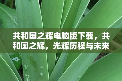 共和国之辉电脑版下载，共和国之辉，光辉历程与未来展望