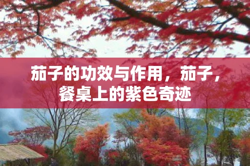 茄子的功效与作用，茄子，餐桌上的紫色奇迹