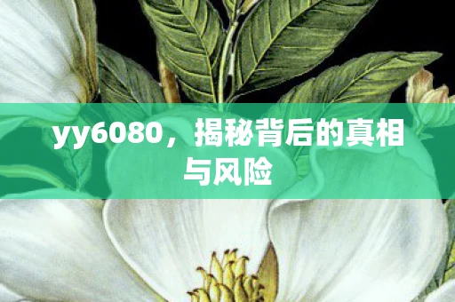 yy6080，揭秘背后的真相与风险