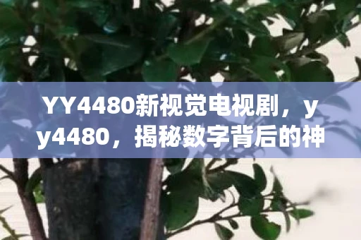 YY4480新视觉电视剧，yy4480，揭秘数字背后的神秘力量