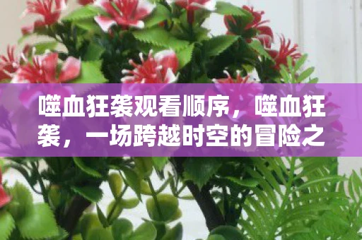 噬血狂袭观看顺序，噬血狂袭，一场跨越时空的冒险之旅