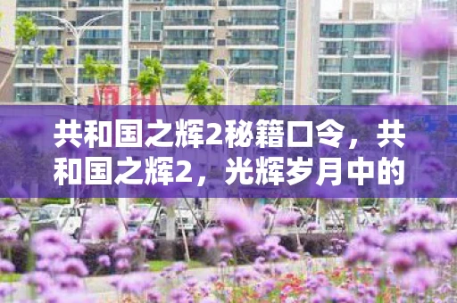 共和国之辉2秘籍口令，共和国之辉2，光辉岁月中的国家记忆