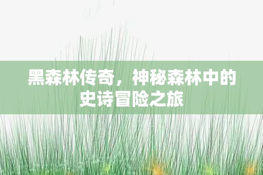 神秘森林中的史诗冒险之旅图片