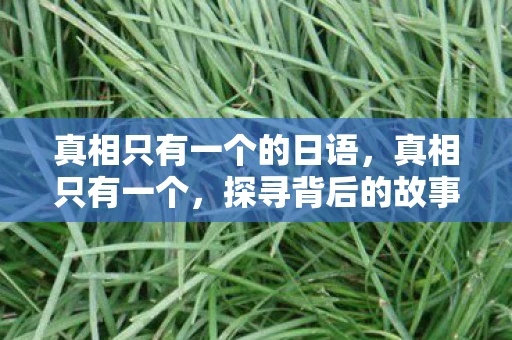 真相只有一个的日语，真相只有一个，探寻背后的故事