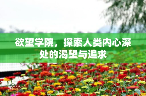 欲望学院，探索人类内心深处的渴望与追求