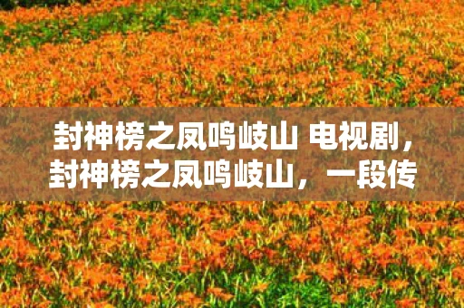 封神榜之凤鸣岐山 电视剧，封神榜之凤鸣岐山，一段传奇的史诗