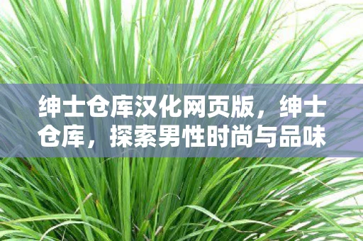 绅士仓库汉化网页版，绅士仓库，探索男性时尚与品味的秘密