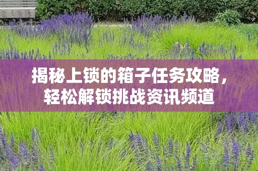揭秘上锁的箱子任务攻略图片