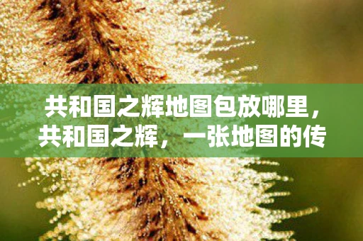 共和国之辉地图包放哪里，共和国之辉，一张地图的传奇故事