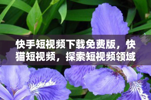 快手短视频下载免费版，快猫短视频，探索短视频领域的创新之路