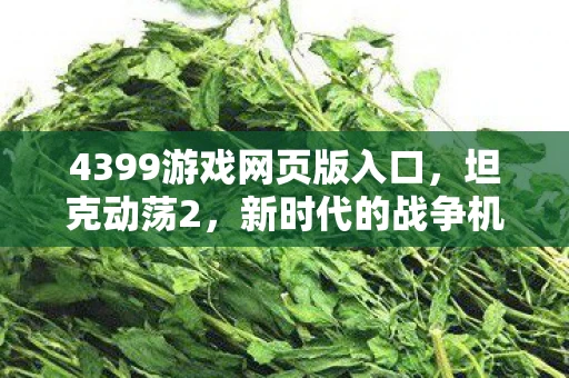 4399游戏网页版入口，坦克动荡2，新时代的战争机器