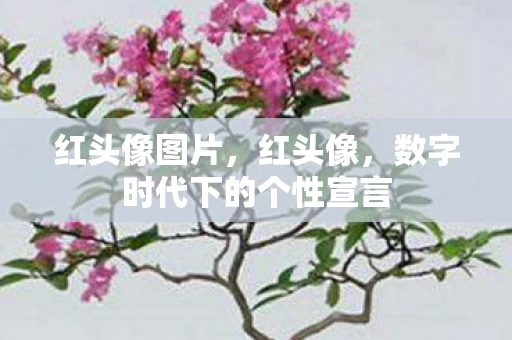 红头像图片，红头像，数字时代下的个性宣言