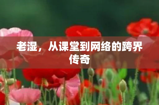 老湿，从课堂到网络的跨界传奇