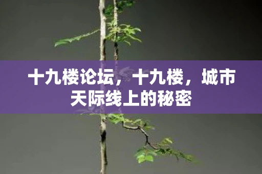 十九楼论坛，十九楼，城市天际线上的秘密