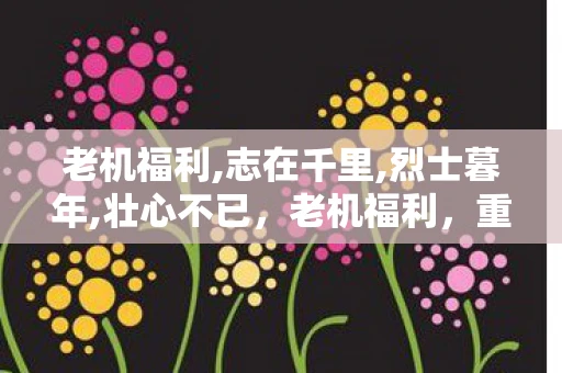 老机福利,志在千里,烈士暮年,壮心不已，老机福利，重温经典，感受科技变迁的奇妙之旅