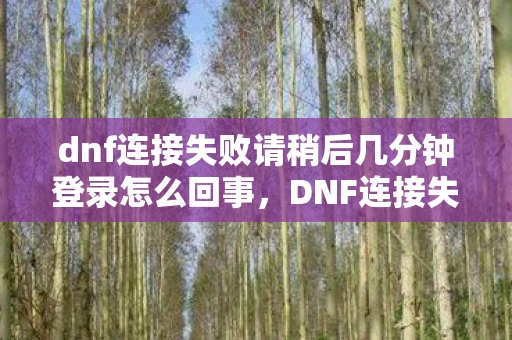 dnf连接失败请稍后几分钟登录怎么回事，DNF连接失败，请稍后几分钟，解析游戏连接问题及其解决方案