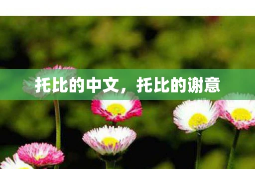 托比的中文，托比的谢意