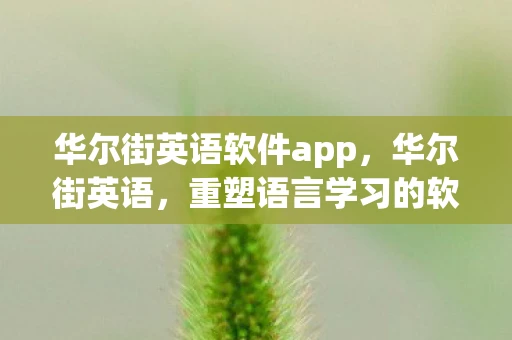 华尔街英语软件app，华尔街英语，重塑语言学习的软件革命