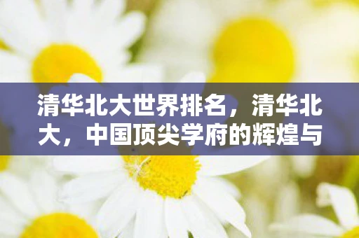 清华北大世界排名，清华北大，中国顶尖学府的辉煌与未来