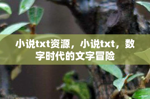 小说txt资源，小说txt，数字时代的文字冒险