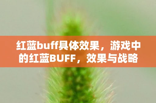 红蓝buff具体效果，游戏中的红蓝BUFF，效果与战略意义解析